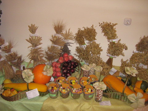 Юннат - 2009 Юннат - 2009