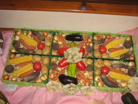 Юннат - 2009 Юннат - 2009