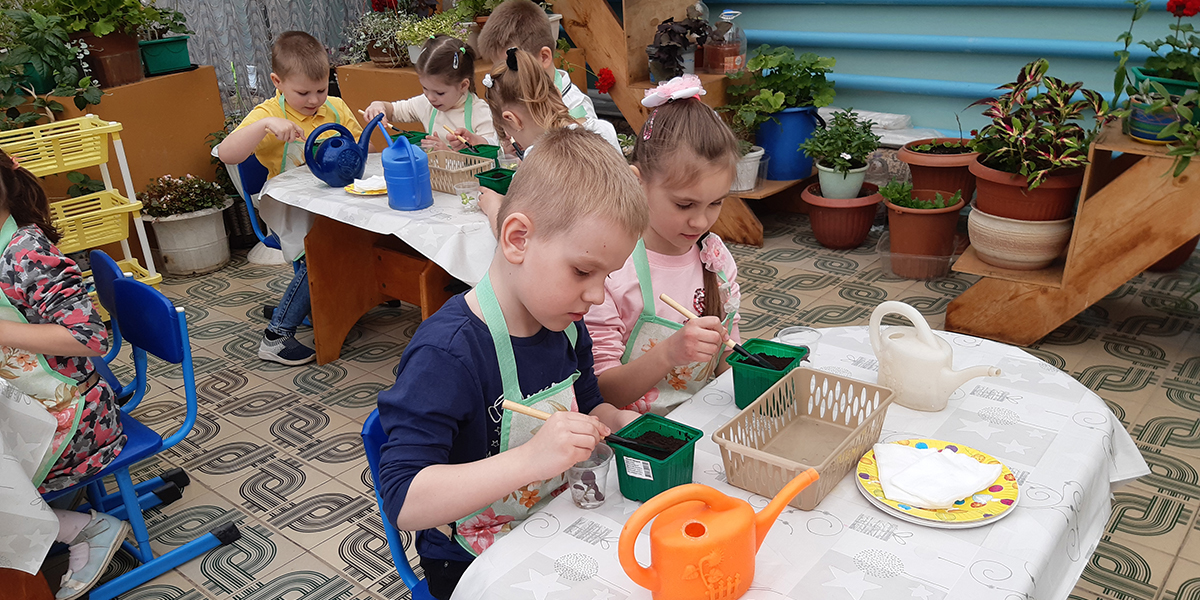 Сажаем комнатные растения